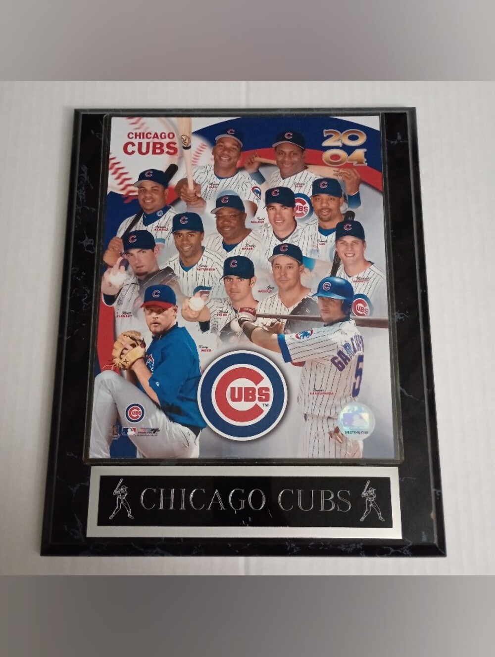 Chicago Cubs Commemorative Team Photo Plaque 2004 Baseball